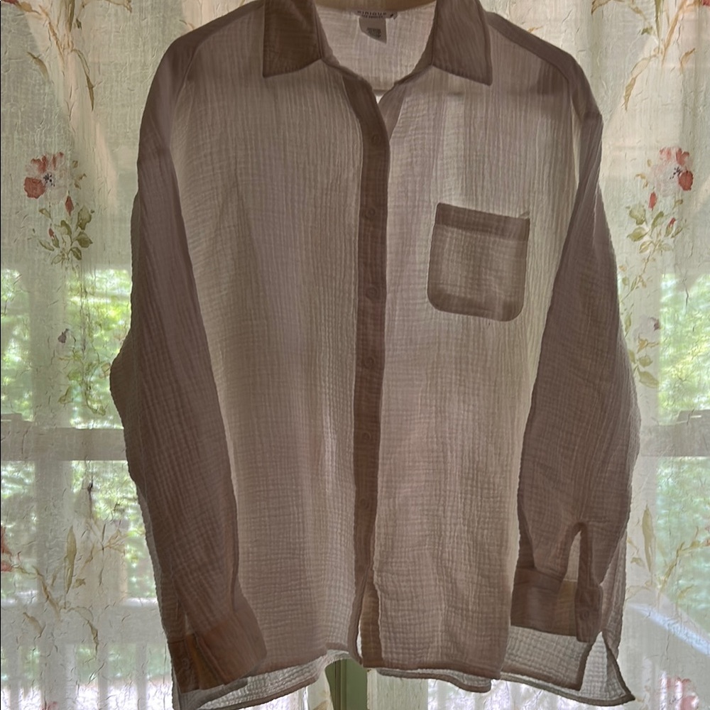 Chic Sheer Button-Up Blouse